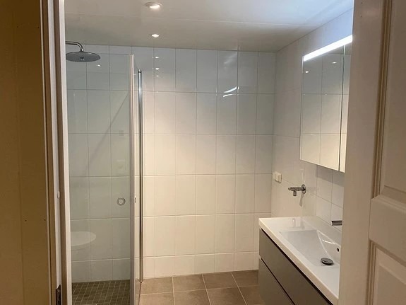 Bad med skap og dusjhjørne.