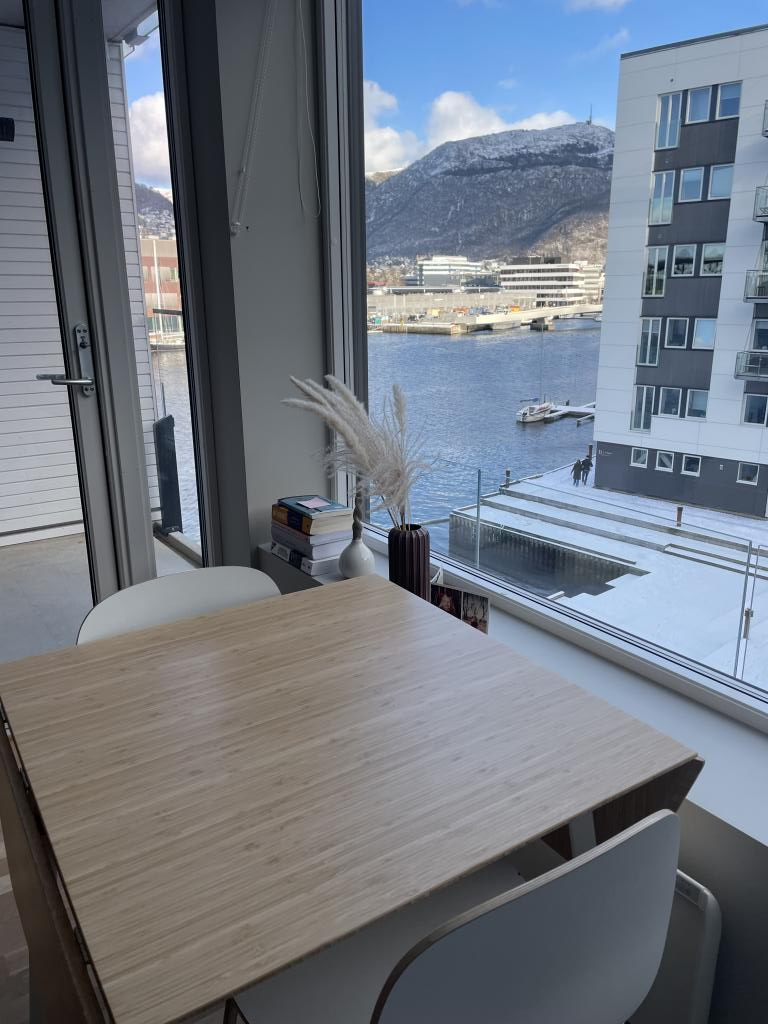 Utsikt fra stue