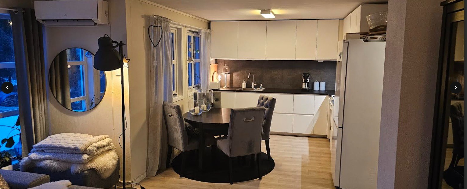 Kjøkken 2025 (Leieboers møbler)