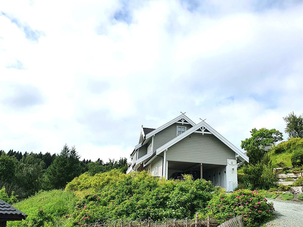 Bilde fra innkjørsel mot hus