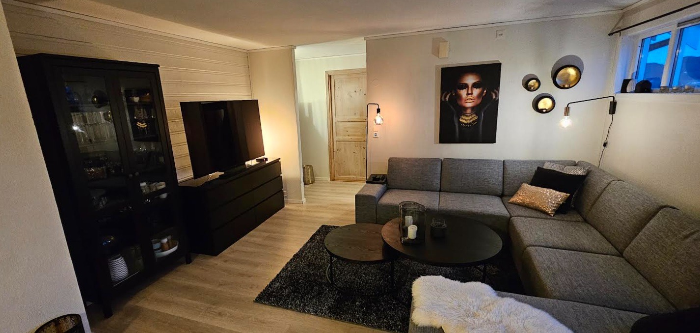 Stue 2025 (Leieboers møbler)