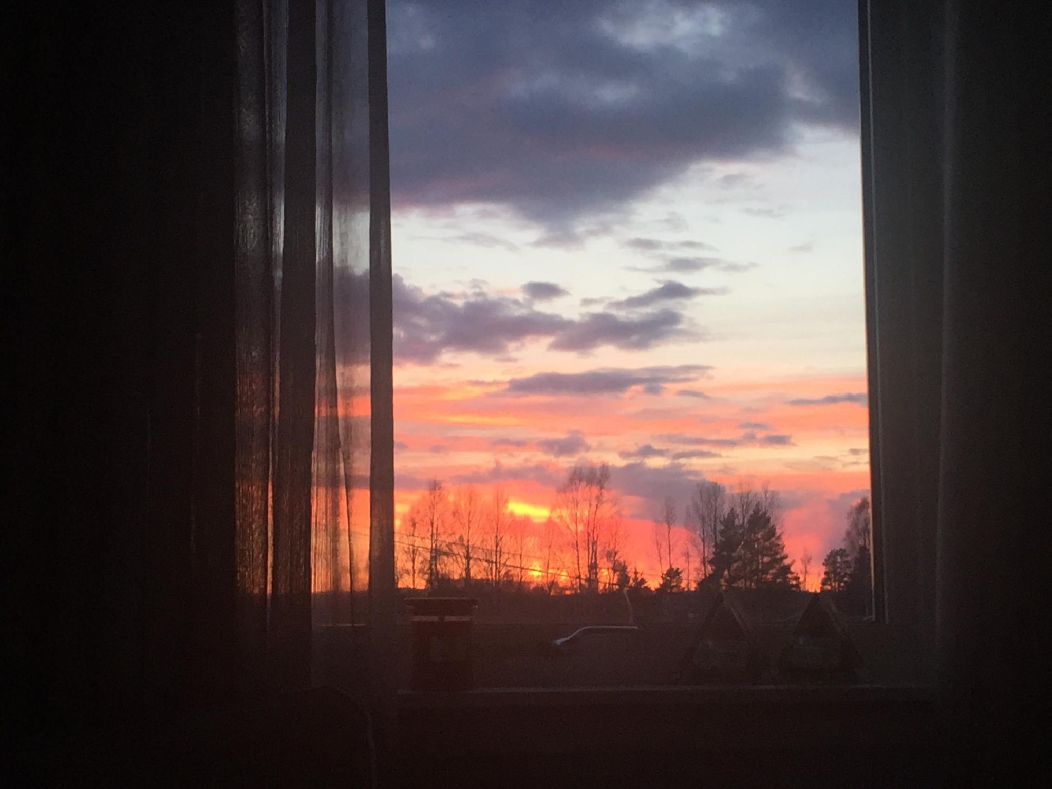 Utsikt fra stuen