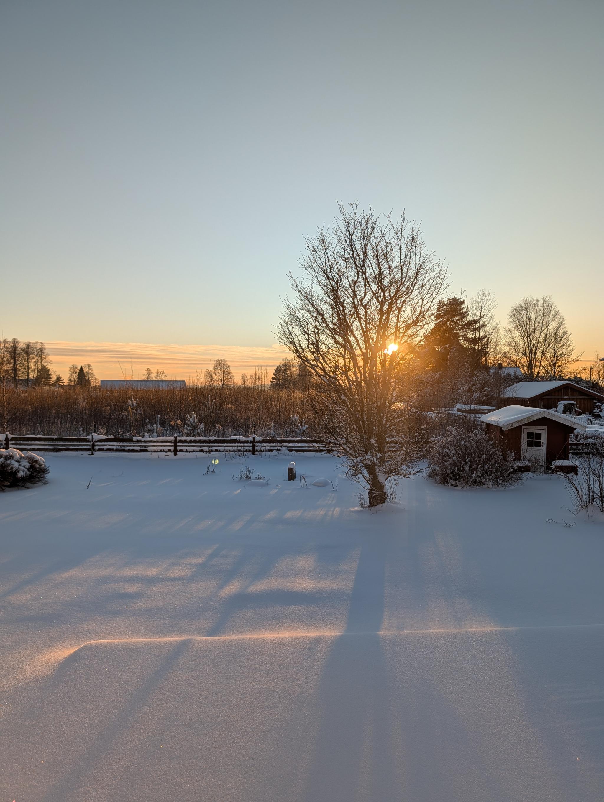 Solnedgang vinter