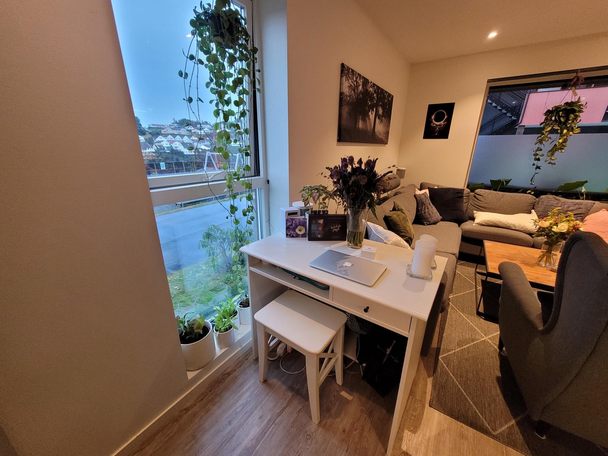 Fin kontorplass ved vindu