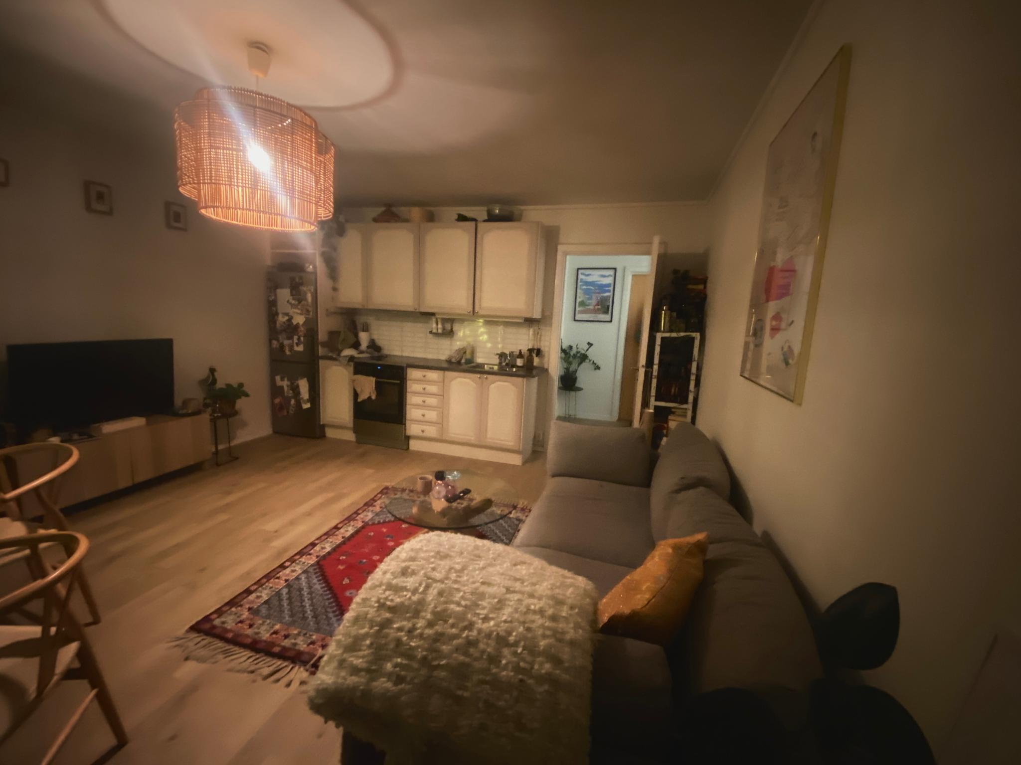 Stue med åpen kjøkkenløsning