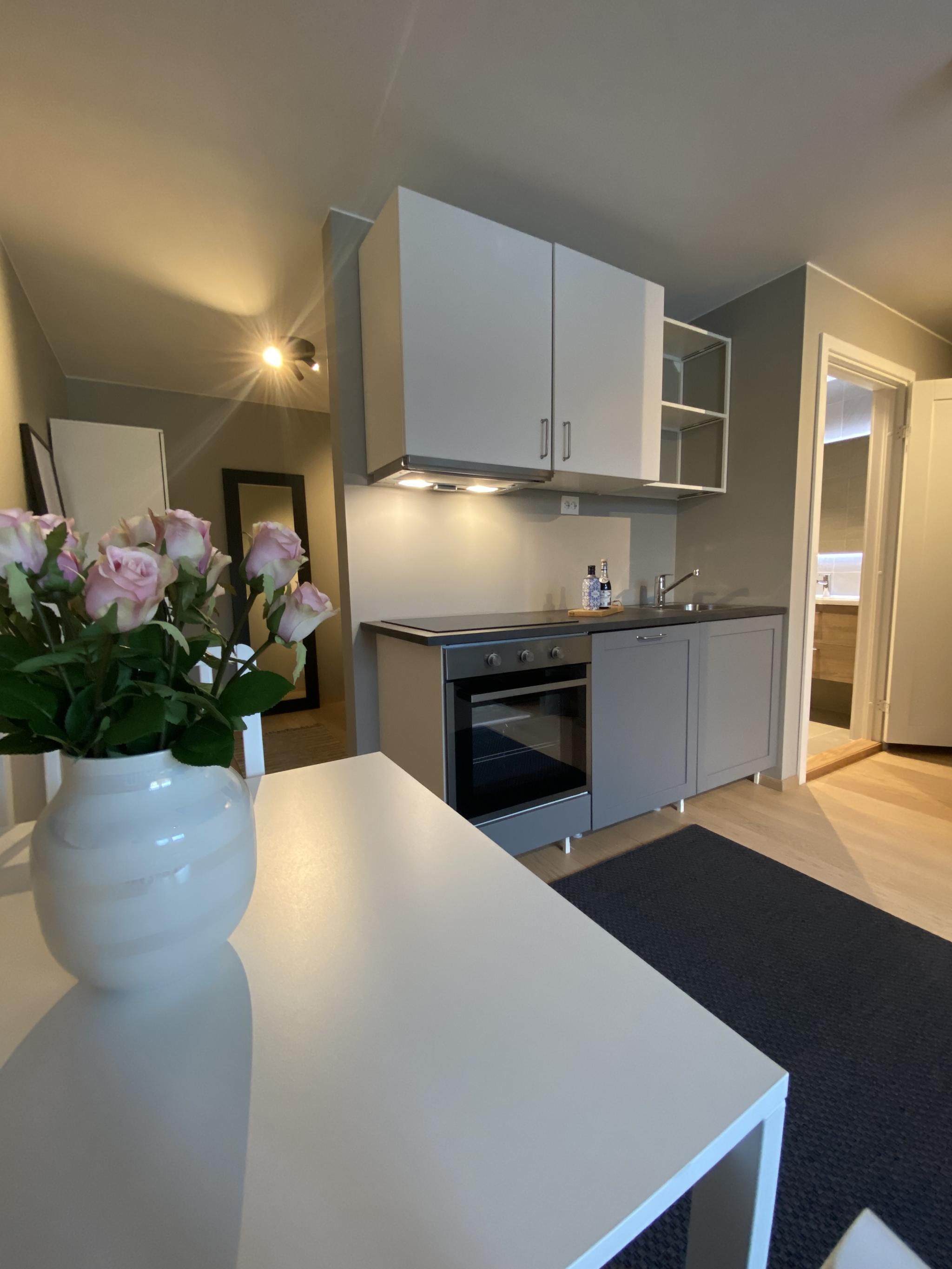 Lekkert moderne kjøkken, med induksjonstopp og integrert vaskemaskin