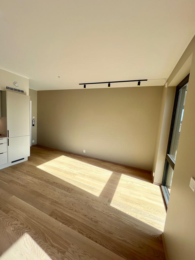 Stue og deler av kjøkken.