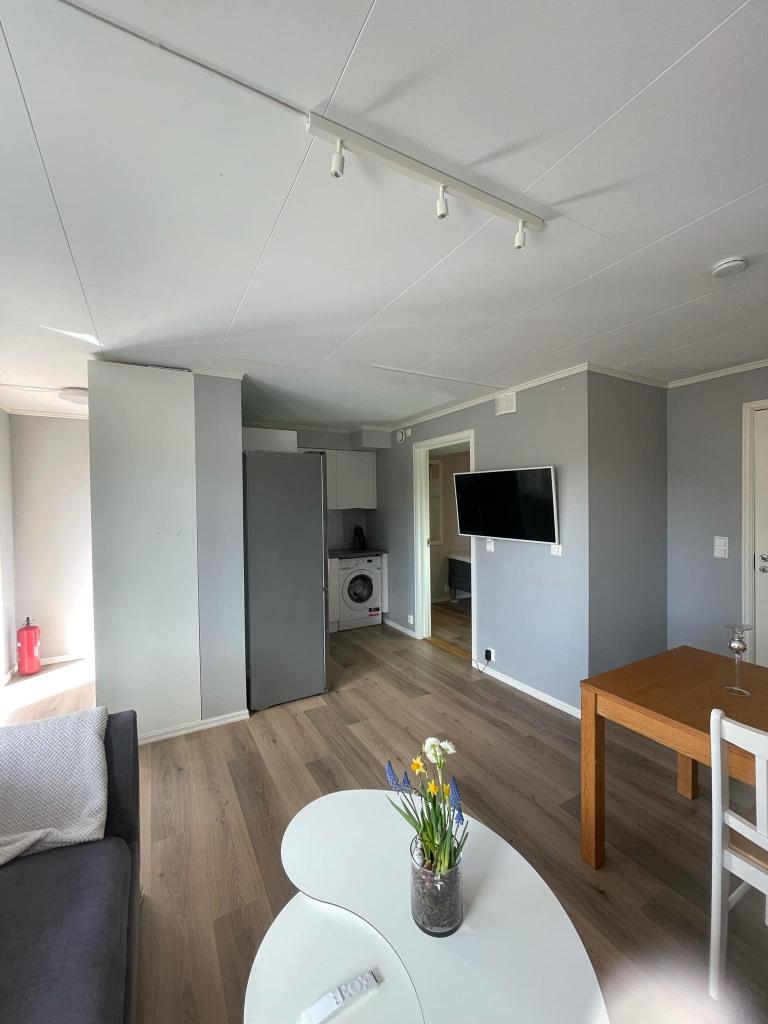 Møblert i stue er ikke med i leiepris