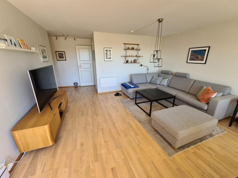 Romslig stue med god plass til stor sittegruppe.