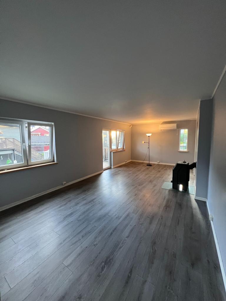 Stue med peis og varmepumpe