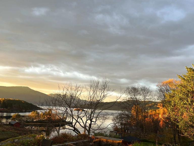 Utsikt fra terrasse, hagestue og stue