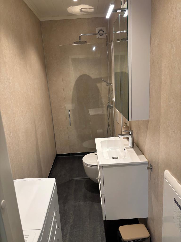 Nytt bad med dusj og fleksibel glassdør, vegghengt toalett og vask med to skuffer under og med speilskap over, ny vaskemaskin