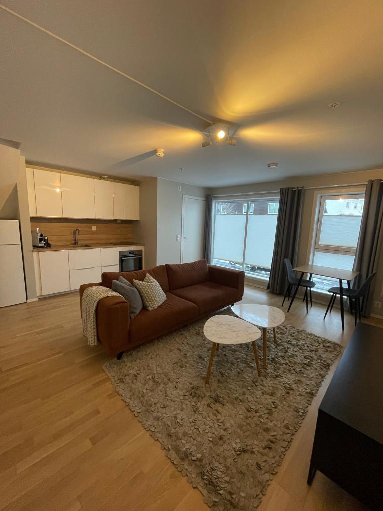 Hovedrommet i boligen. Kombinert stue og kjøkken.