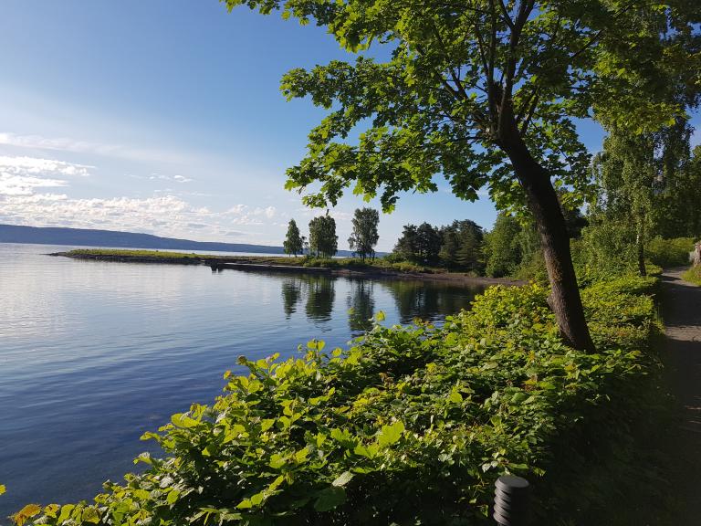 3470 SLEMMESTAD Bjerkåsholmen 10