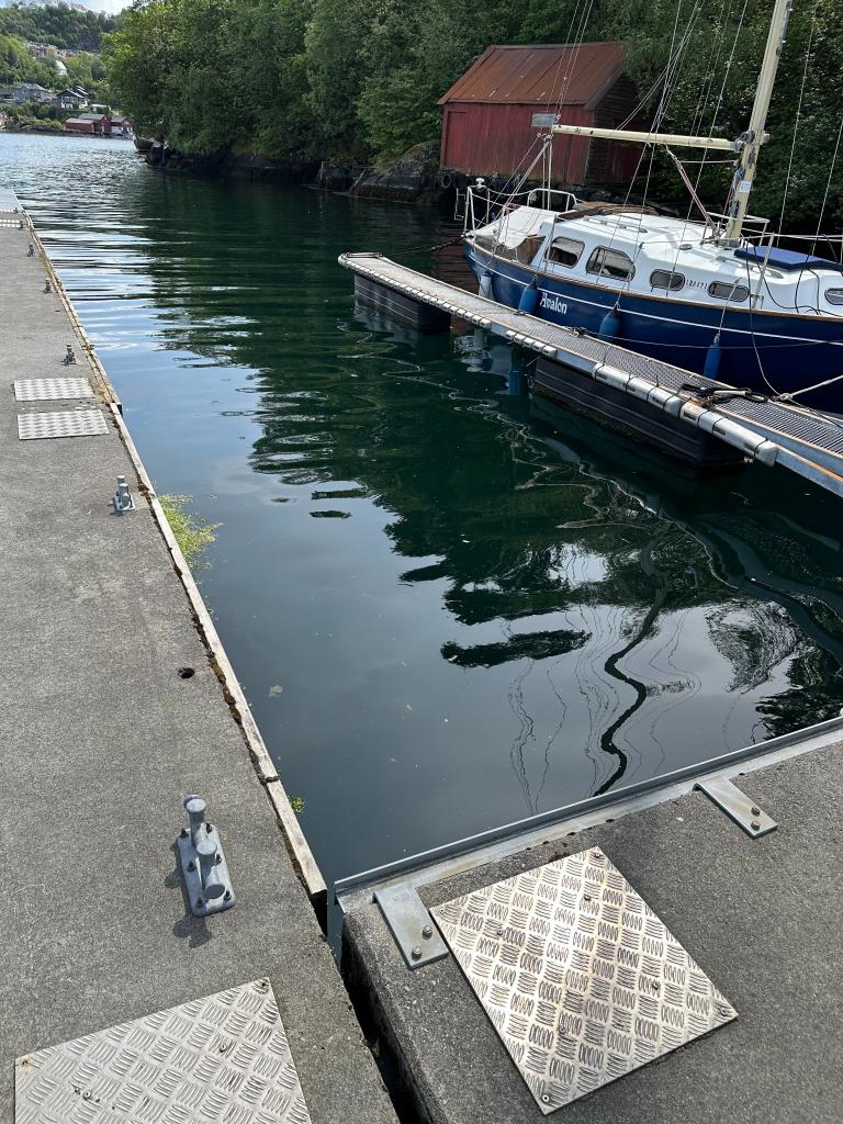 5252 SØREIDGREND Hammersland marina- båtplass nr 21