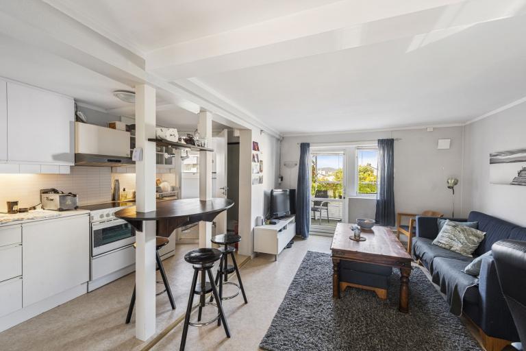 3222 SANDEFJORD Framnesveien 29A