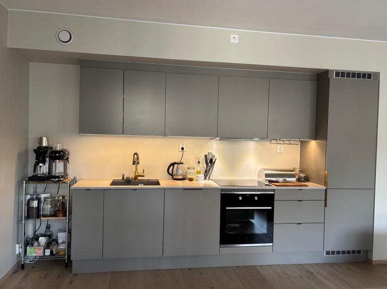 Kjøkken med integrerte hvitevarer