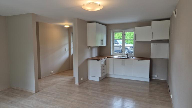 Åpen kjøkken/stue løsning