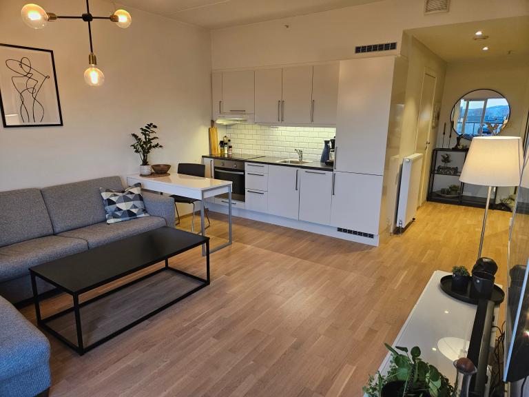 7041 TRONDHEIM Håkon Magnussons Gate 26