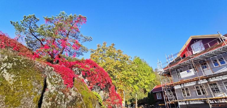 Bilder fra rehabilitering 2020-2021