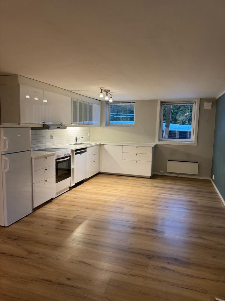 Stue/kjøkken (motsatt vinkel)
Åpen og funksjonell løsning med god plass til både sofa- og spiseområde.