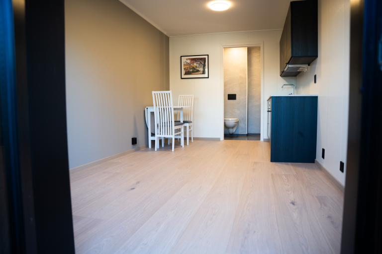Nesten ny hybelleilighet sentralt på Stubben. Bord og stoler medfølger ikke.