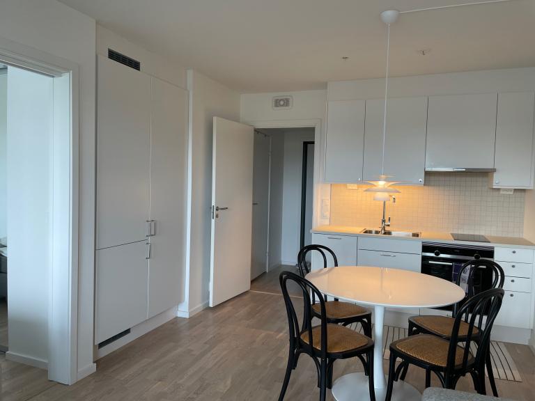 Integrert kjøleskap og stort oppbevaringsskap til venstre