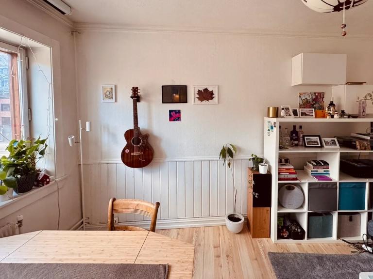 spisebord og stoler
