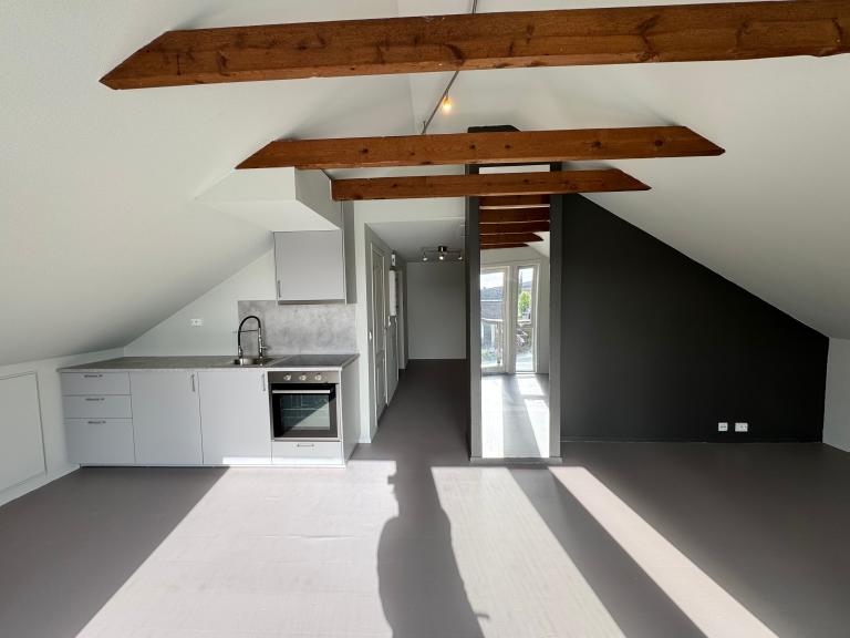 Stue og kjøkken. Dør til kott venstre for kjøkken.