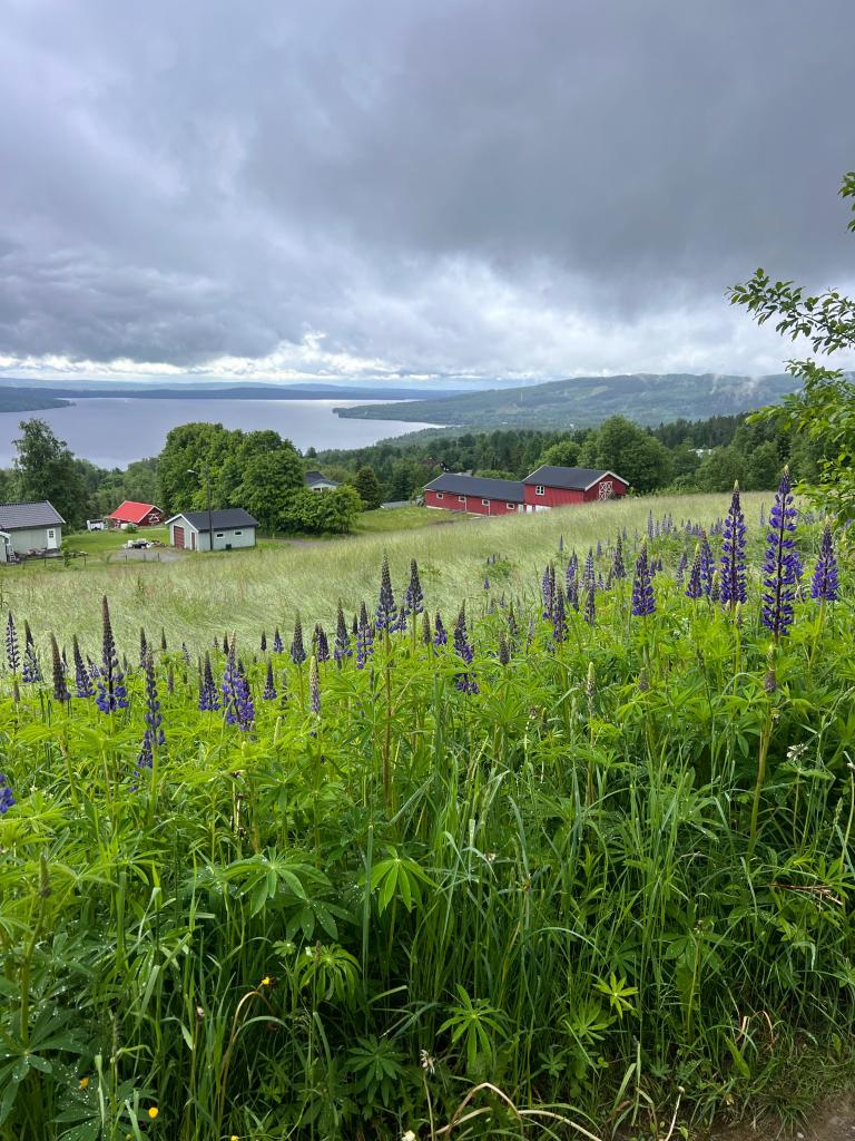 2090 Hurdal Rustadvegen 102