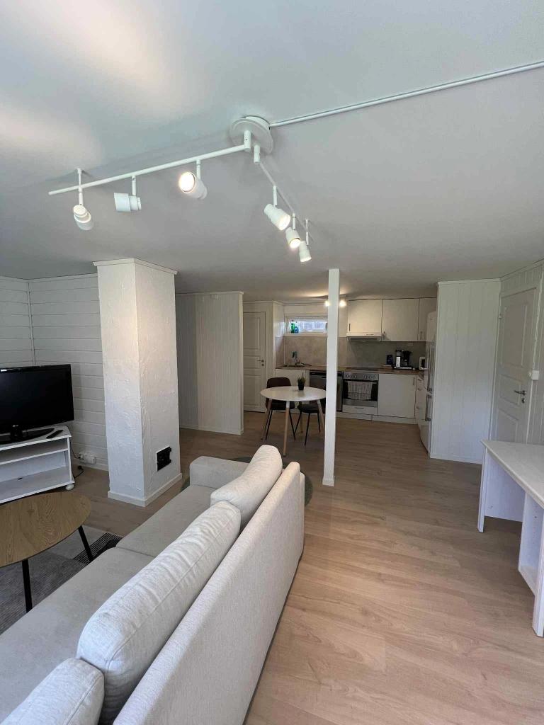 Åpen stue/kjøkken løsning