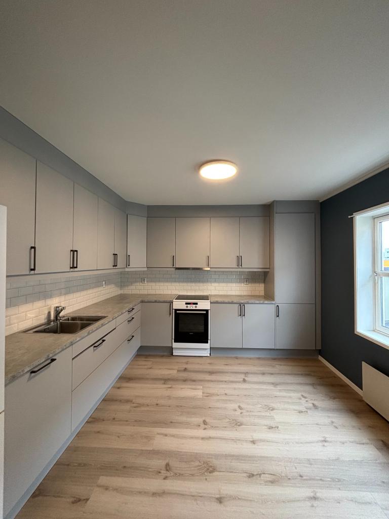 Nyoppusset kjøkken (Sigdal). Komfyr, oppvaskmaskin og kjøleskap.  