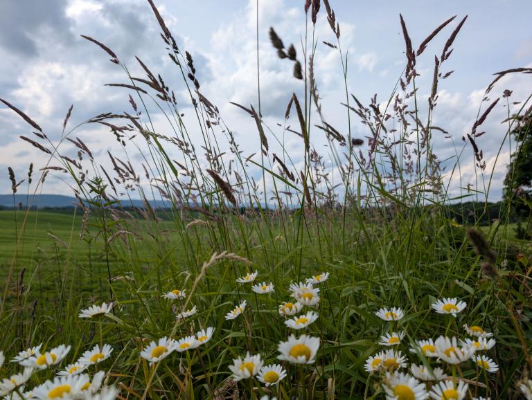 1435 Ås Kroerveien 82B