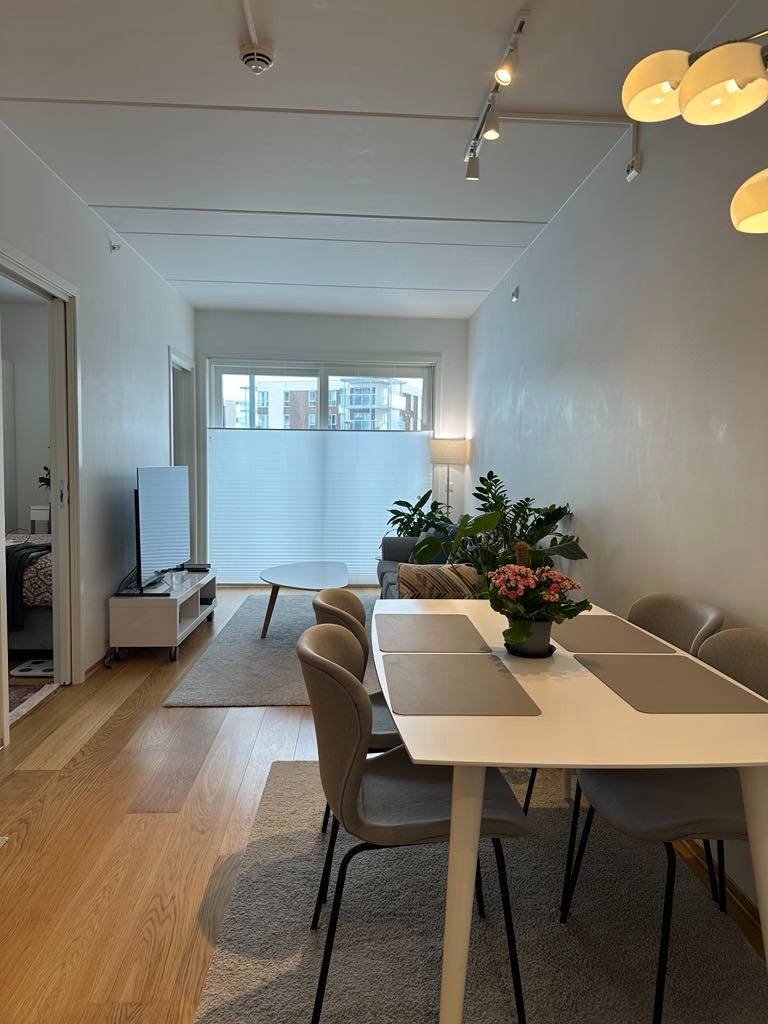 Åpen kjøkken- og stueløsning. Soverom ligger på venstre side. OBS: TV, tepper, gulvlamper er ikke inkludert i leiligheten.