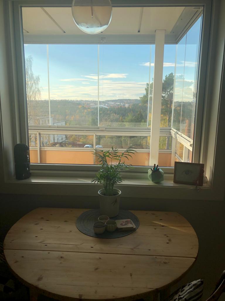 Utsikt fra kjøkkenet