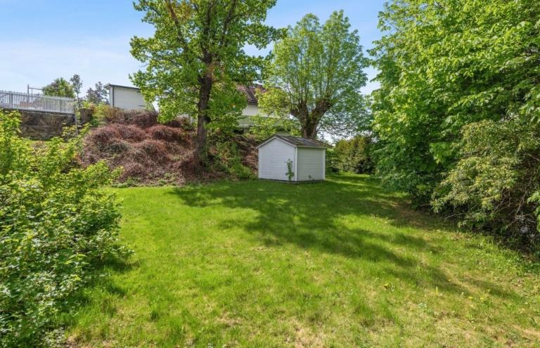 Hage med redskapsbod