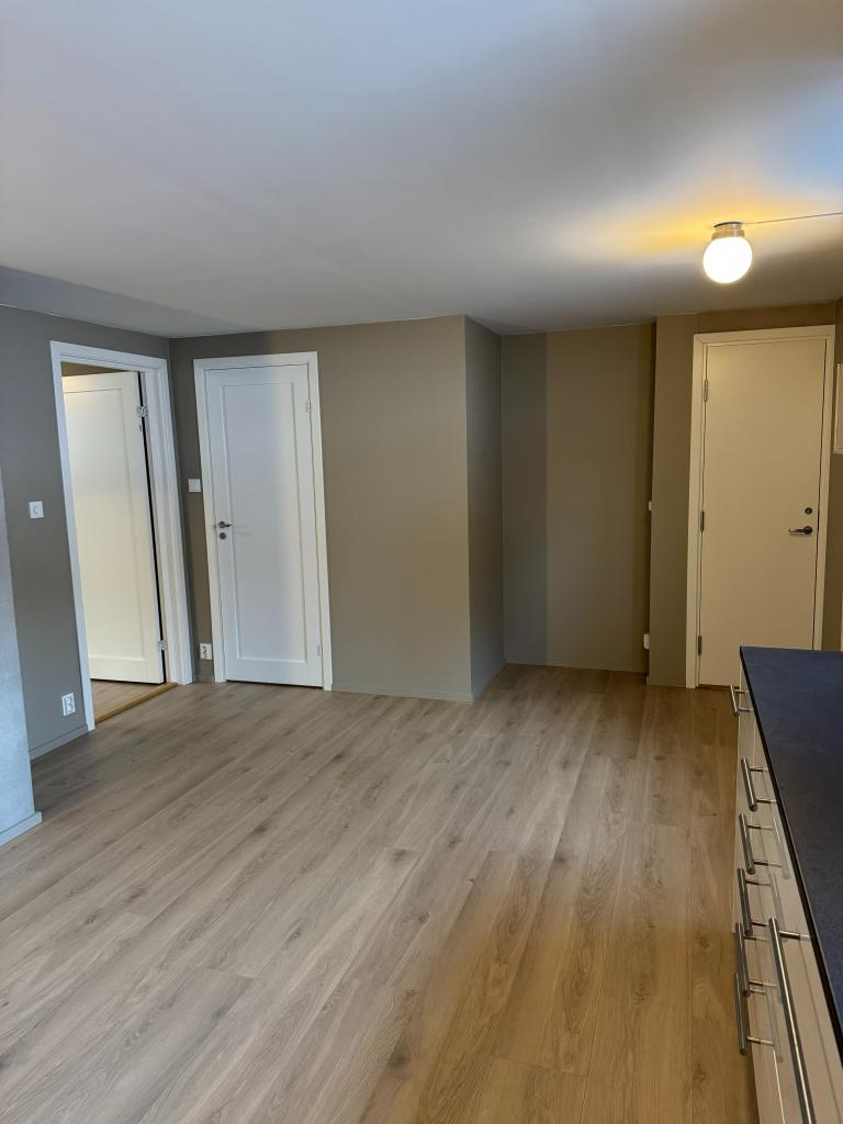 Stue. Inngang soverom til venstre og inngang til toalett ved siden av.