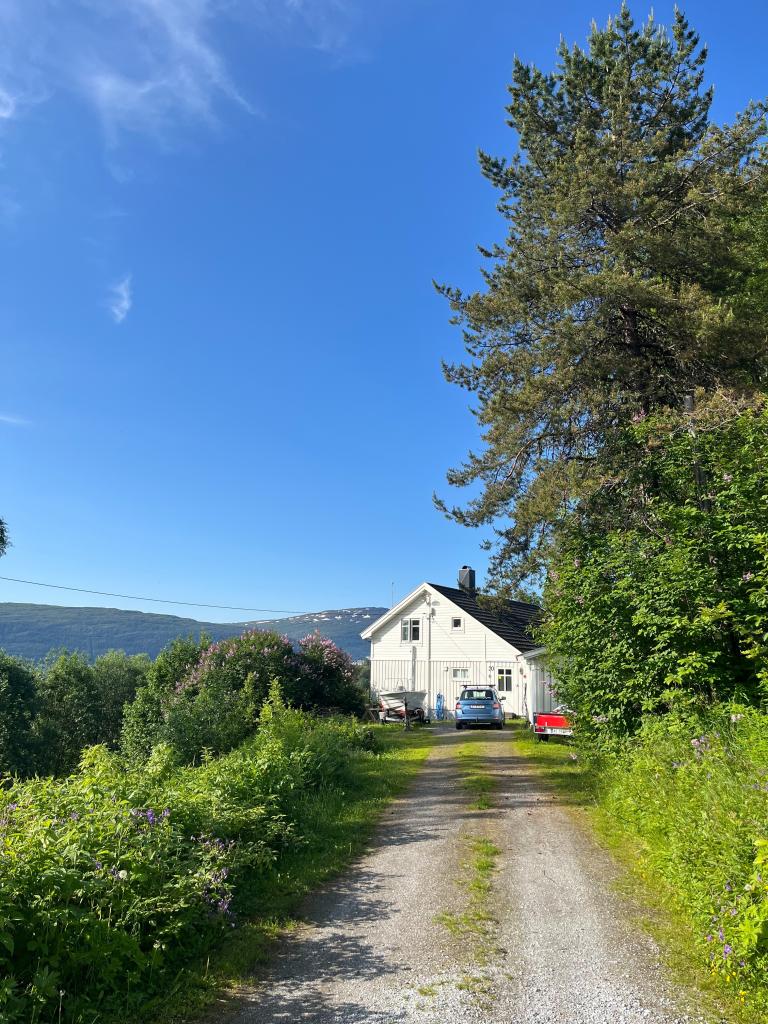 innkjøring fra Sommerveien