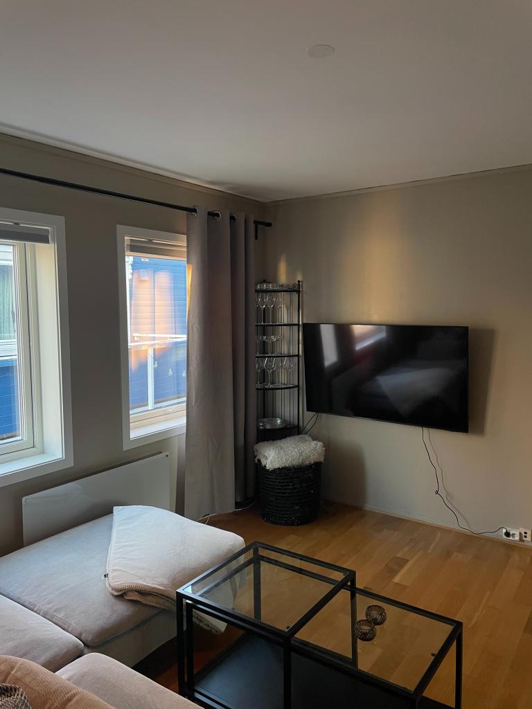 7043 Trondheim Wessles gate 20b