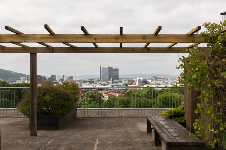 Tilgang til nydelig opparbeidet takterasse med utsikt over hele byen