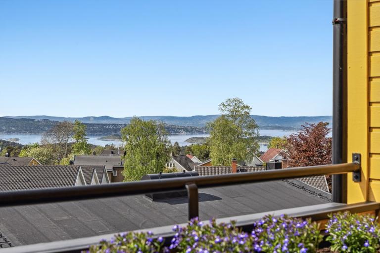 1176 Oslo Birger Olivers vei 14A