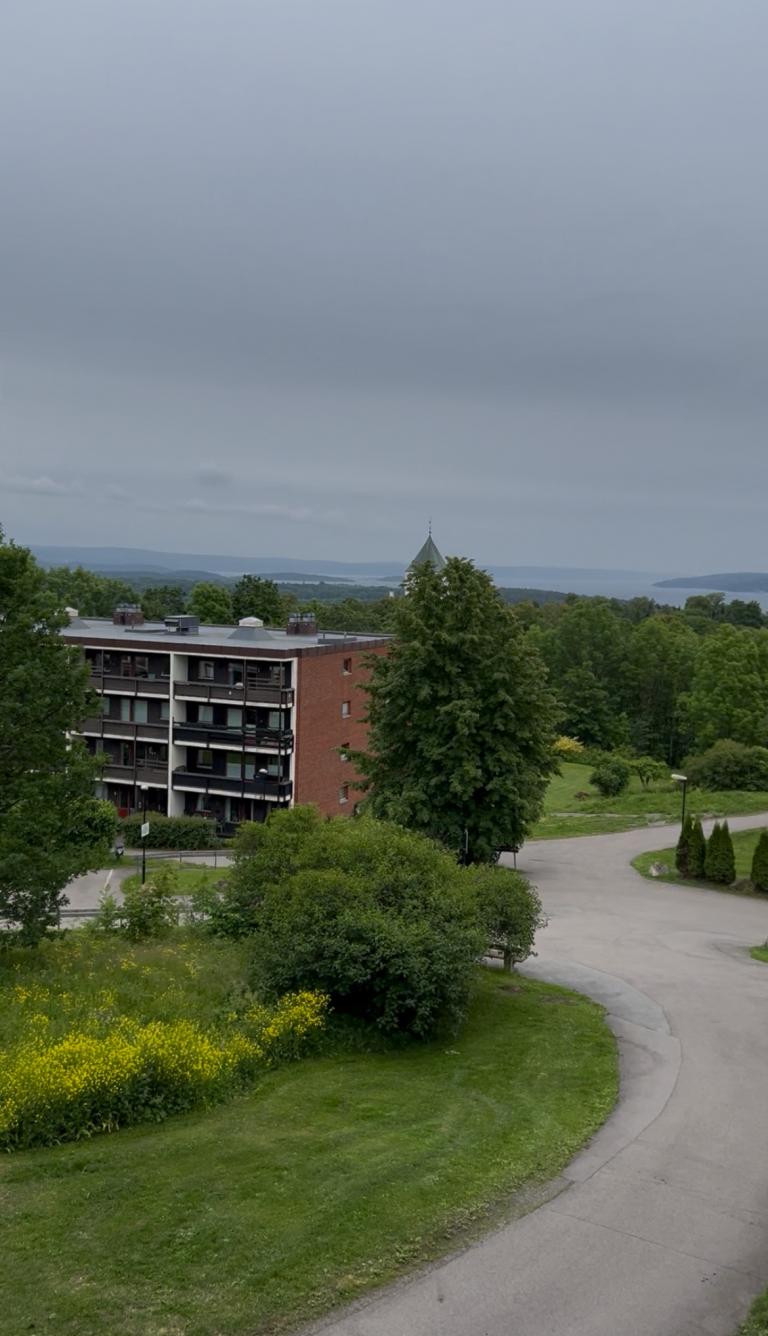 0381 Oslo Ullern alle 93