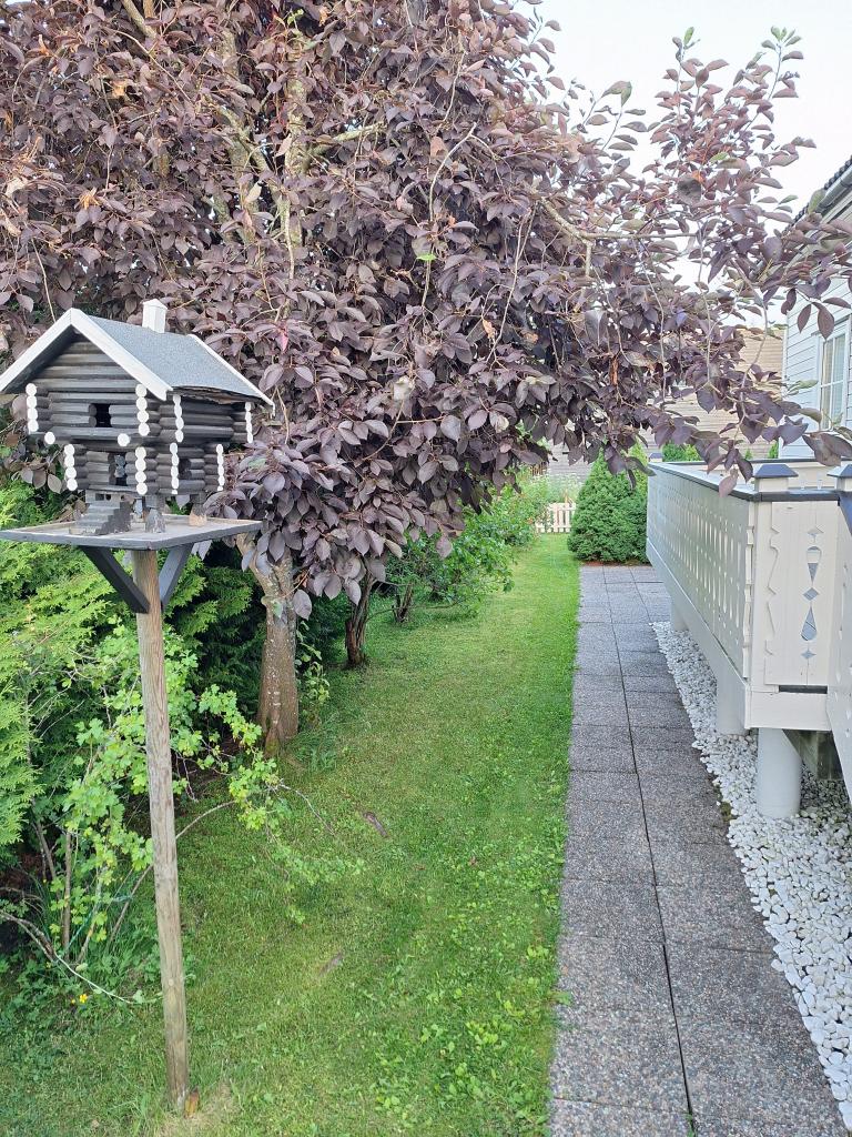 Inngangsparti til hybelleiligheten. Bilder av selve hybelleiligheten kommer senere, da ikke all innredning er helt på plass enda, men blir ferdig til den 17. august.