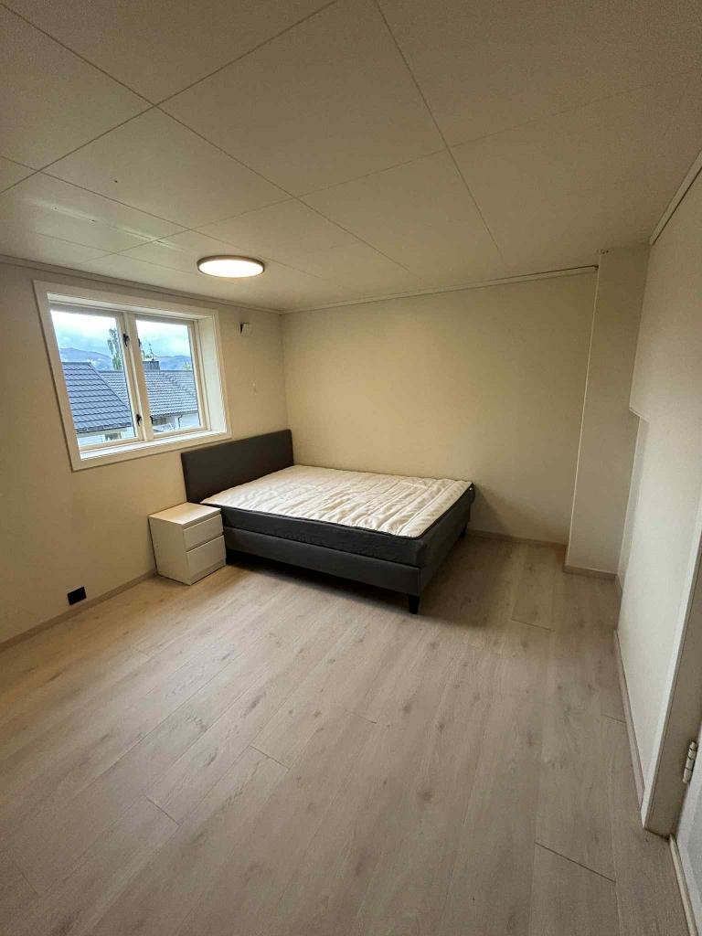 Soverom 1 (underetasje)