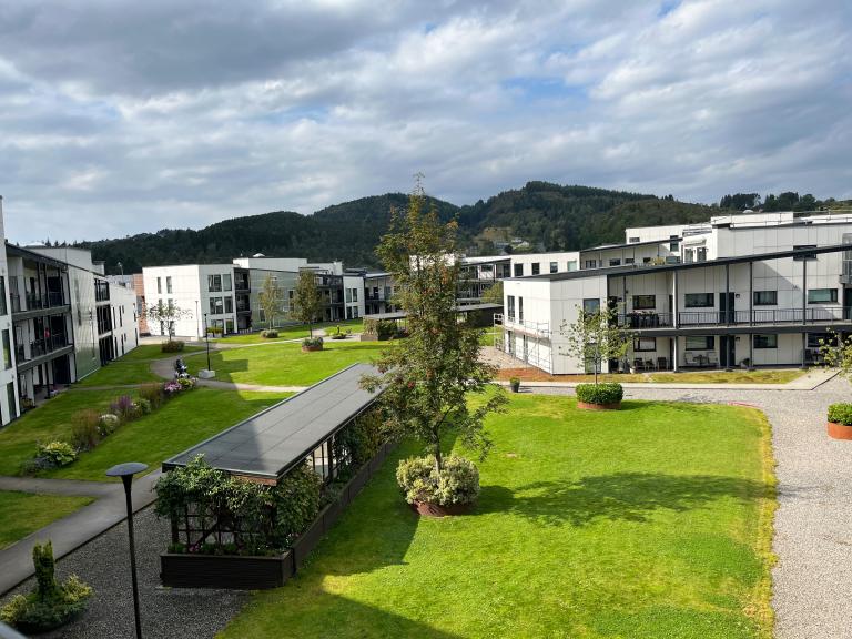 Takhagen sett fra frokostbalkongen