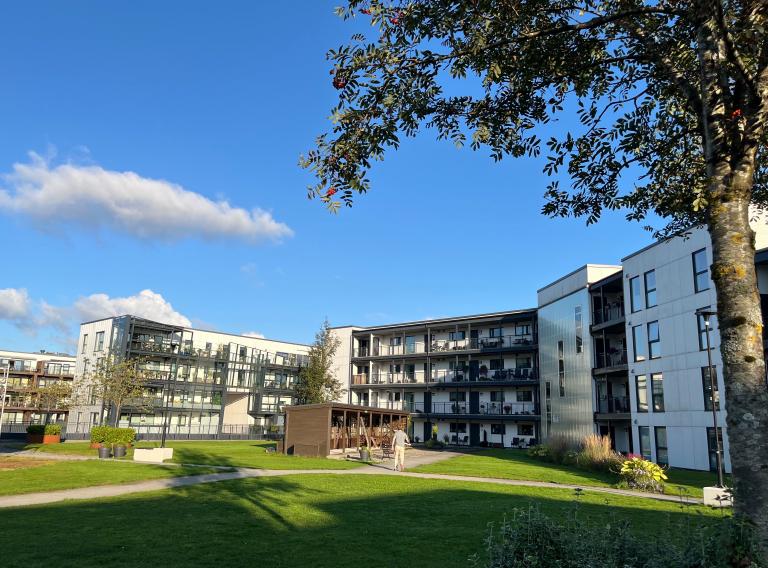 Deler av takhagen. Leiligheten ligger nest øverst i enden midt på bildet.