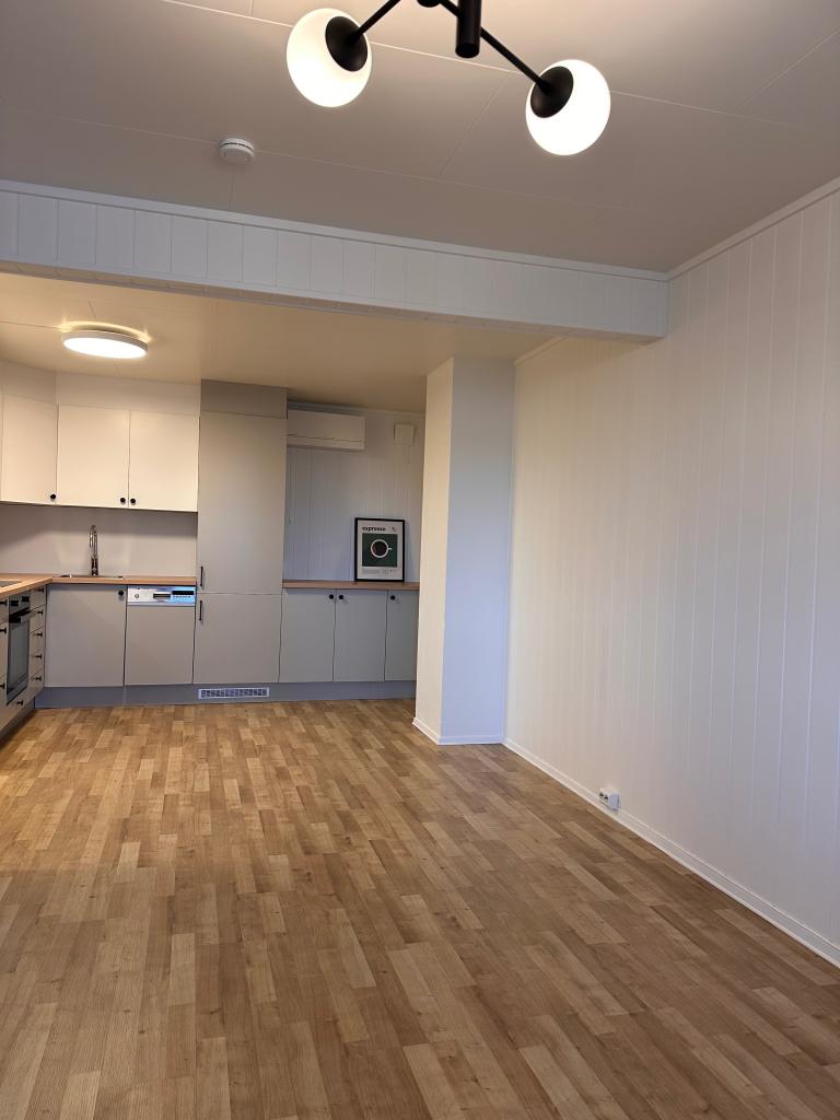 Kjøkken område