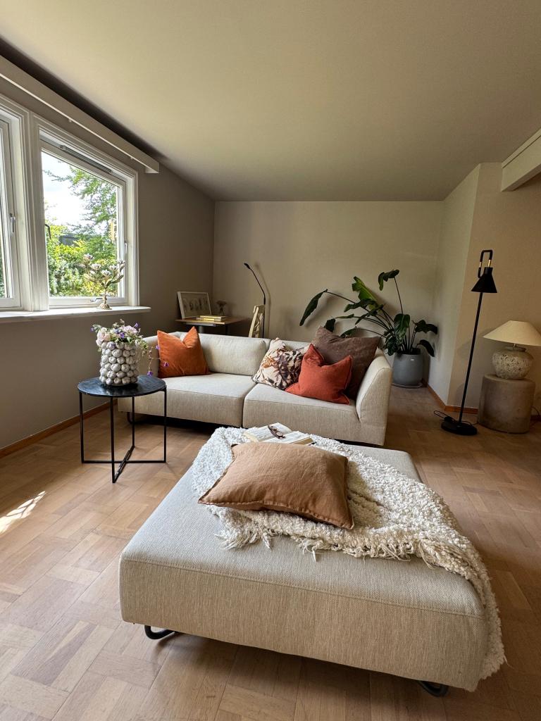 5232 Paradis Marmorneset 41