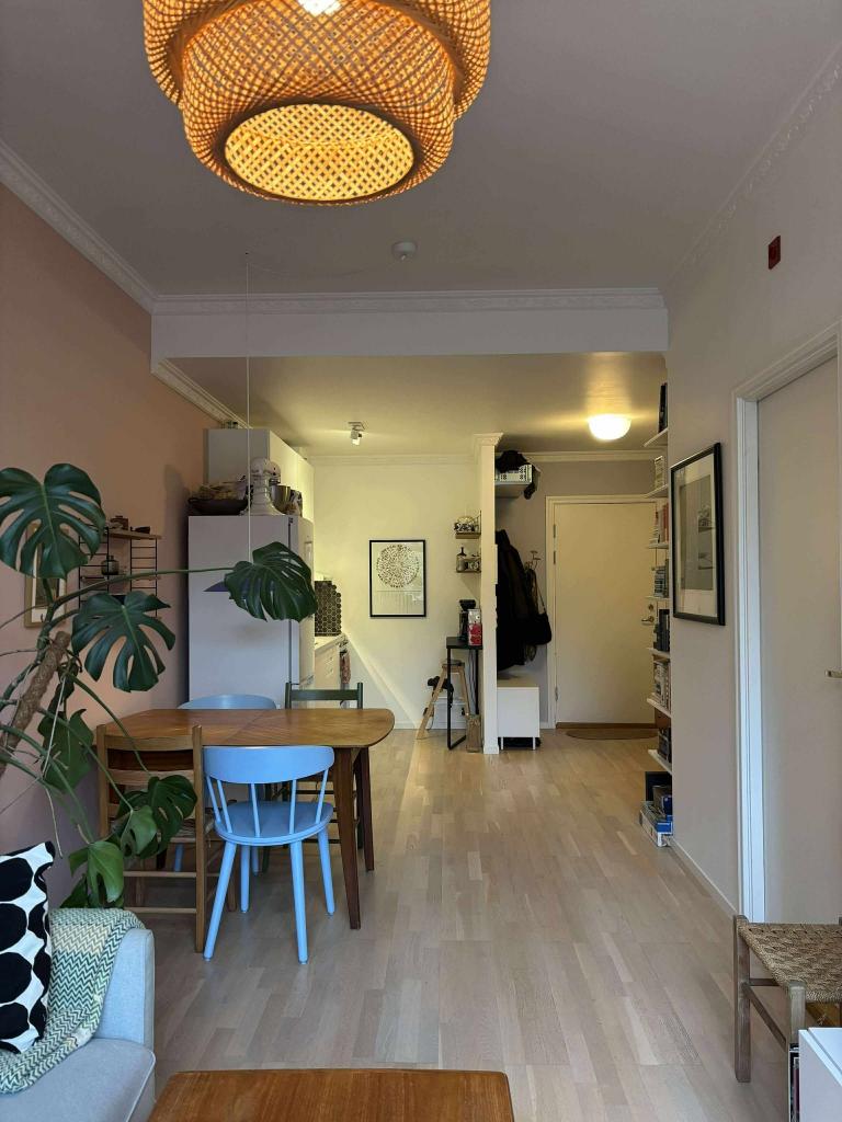 Stue mot inngangsparti