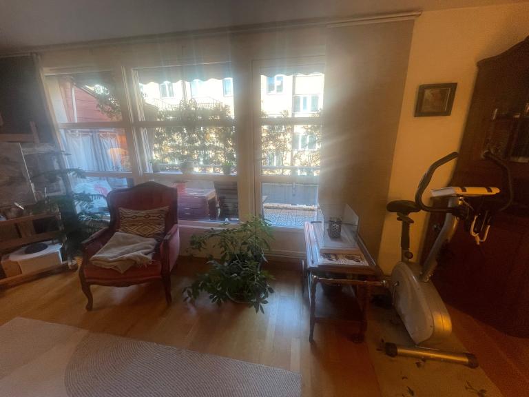 Stua med utgang til terrassen
